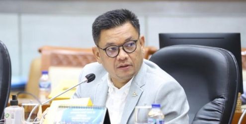 Wakil Ketua Komisi VIII DPR RI, Tubagus Ace Hasan Syadzily/Net