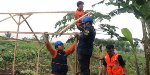 Relawan MDMC mendirikan hunian darurat untuk warga terdampak gempa Cianjur/Ist